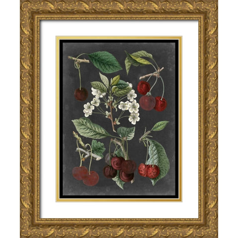 Orchard Varieties I Gold Ornate Wood Framed Art Print with Double Matting by Vision Studio