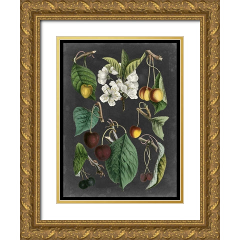 Orchard Varieties II Gold Ornate Wood Framed Art Print with Double Matting by Vision Studio