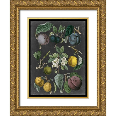 Orchard Varieties IV Gold Ornate Wood Framed Art Print with Double Matting by Vision Studio