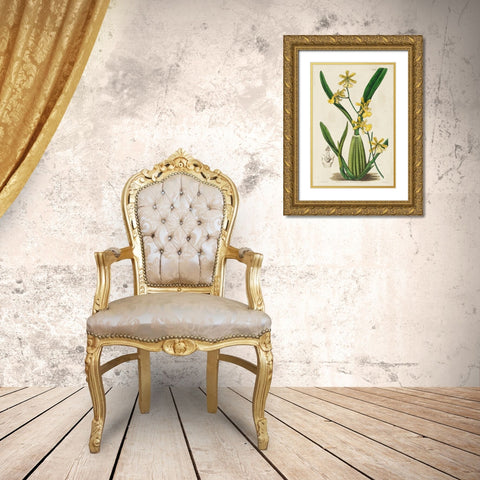 Spring Orchid IV Gold Ornate Wood Framed Art Print with Double Matting by Ridgeway