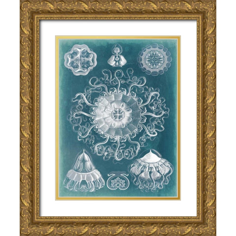 Sealife Blueprint II Gold Ornate Wood Framed Art Print with Double Matting by Vision Studio