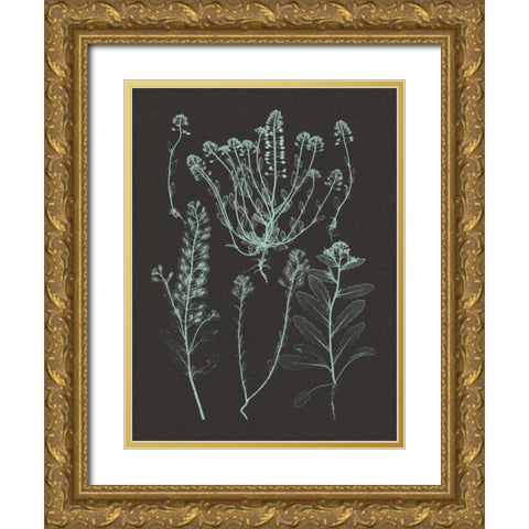 Mint and Charcoal Nature Study III Gold Ornate Wood Framed Art Print with Double Matting by Vision Studio