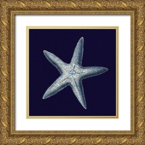 Indigo Shells IV Gold Ornate Wood Framed Art Print with Double Matting by Vision Studio