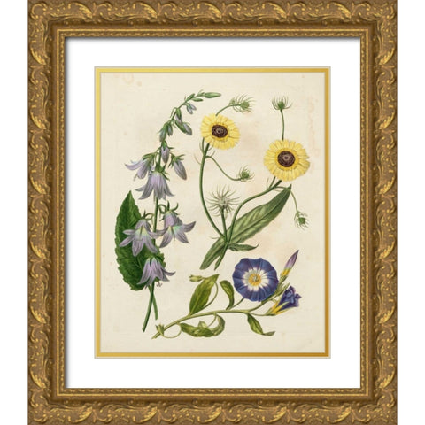 Garden Pairings V Gold Ornate Wood Framed Art Print with Double Matting by Edwards, Sydenham