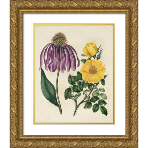 Garden Pairings VII Gold Ornate Wood Framed Art Print with Double Matting by Edwards, Sydenham