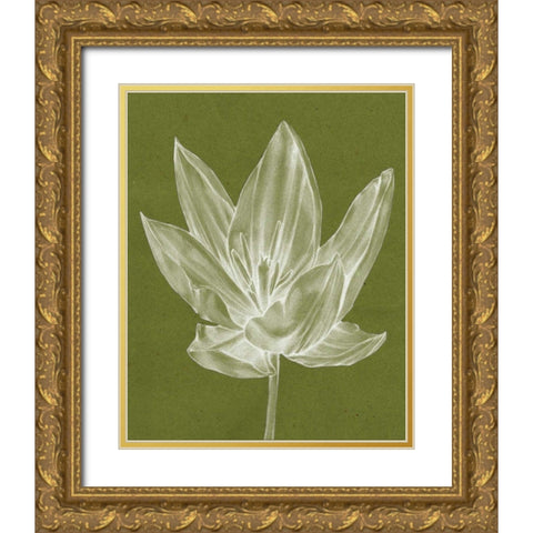 Monochrome Tulip VI Gold Ornate Wood Framed Art Print with Double Matting by Goldberger, Jennifer