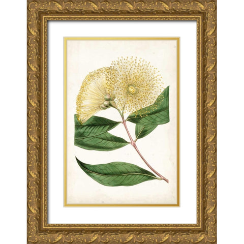 Floral Lace I Gold Ornate Wood Framed Art Print with Double Matting by Curtis