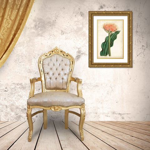 Tangerine Floral III Gold Ornate Wood Framed Art Print with Double Matting by Curtis