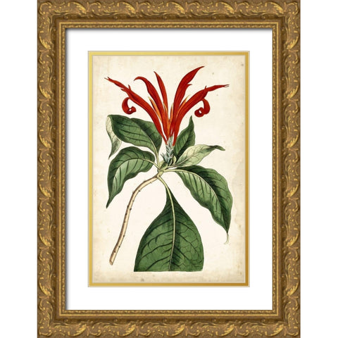 Tangerine Floral IV Gold Ornate Wood Framed Art Print with Double Matting by Curtis