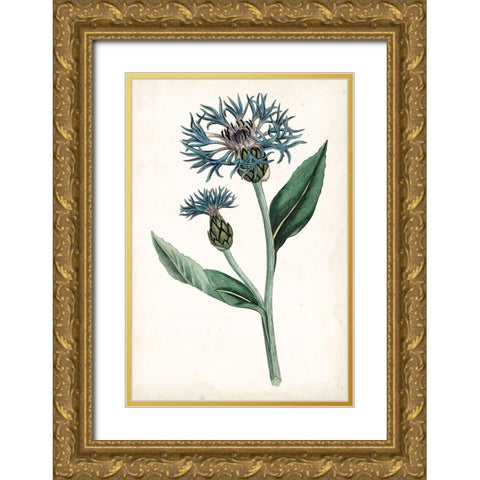 Curtis Blues II Gold Ornate Wood Framed Art Print with Double Matting by Curtis