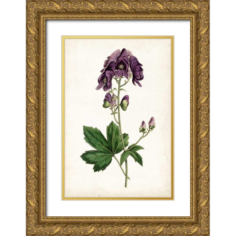 Lavender Florals I Gold Ornate Wood Framed Art Print with Double Matting by Curtis