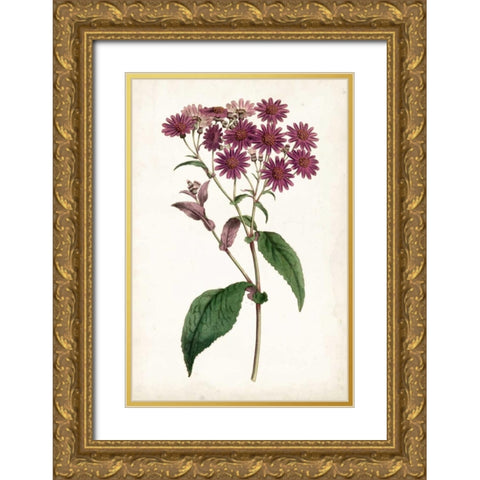 Lavender Florals IV Gold Ornate Wood Framed Art Print with Double Matting by Curtis