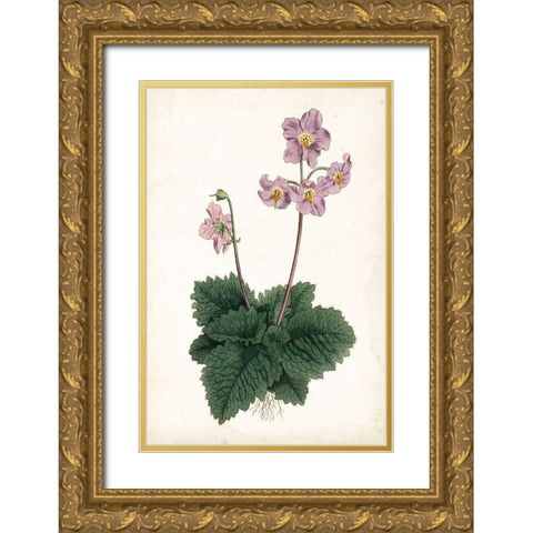 Lavender Florals V Gold Ornate Wood Framed Art Print with Double Matting by Curtis