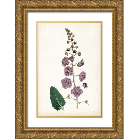 Lavender Florals VI Gold Ornate Wood Framed Art Print with Double Matting by Curtis