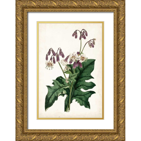 Lavender Florals VII Gold Ornate Wood Framed Art Print with Double Matting by Curtis