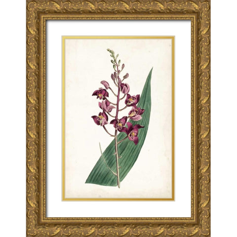 Lavender Florals VIII Gold Ornate Wood Framed Art Print with Double Matting by Curtis