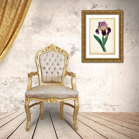 Curtis Iris IV Gold Ornate Wood Framed Art Print with Double Matting by Curtis