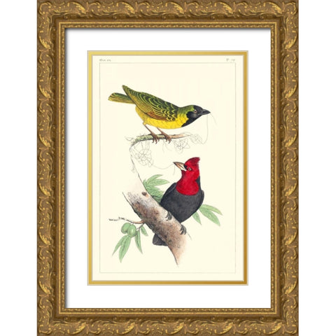 Lemaire Birds II Gold Ornate Wood Framed Art Print with Double Matting by Lemaire, C.L.