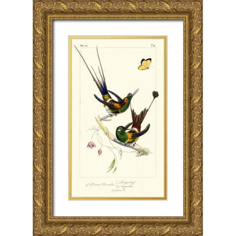 Lemaire Hummingbirds IV Gold Ornate Wood Framed Art Print with Double Matting by Lemaire, C.L.