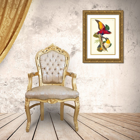 Lemaire Parrots I Gold Ornate Wood Framed Art Print with Double Matting by Lemaire, C.L.
