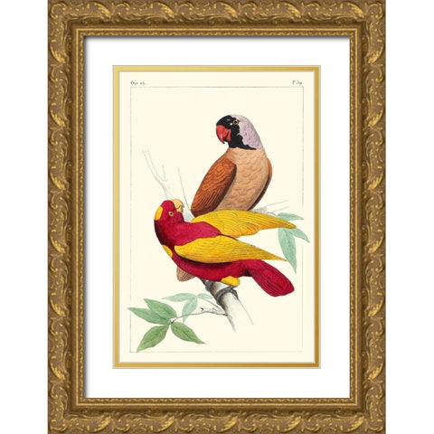 Lemaire Parrots II Gold Ornate Wood Framed Art Print with Double Matting by Lemaire, C.L.