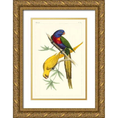 Lemaire Parrots IV Gold Ornate Wood Framed Art Print with Double Matting by Lemaire, C.L.