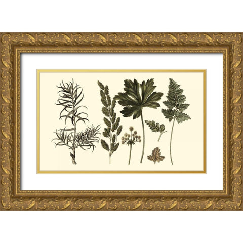 Fern Leaf Folio II Gold Ornate Wood Framed Art Print with Double Matting by Oeder, Georg C.