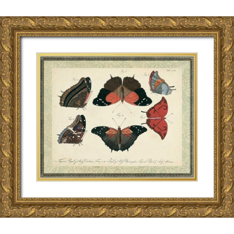 Bookplate Butterflies Trio II Gold Ornate Wood Framed Art Print with Double Matting by Vision Studio