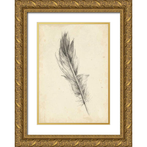 Feather Sketch IV Gold Ornate Wood Framed Art Print with Double Matting by Harper, Ethan