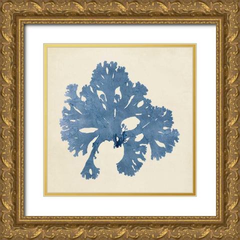 Chromatic Seaweed V Gold Ornate Wood Framed Art Print with Double Matting by Vision Studio