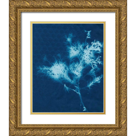 Cyanotype No.3 Gold Ornate Wood Framed Art Print with Double Matting by Stramel, Renee W.