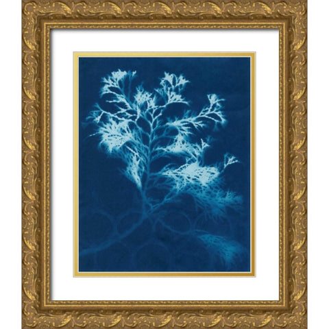 Cyanotype No.4 Gold Ornate Wood Framed Art Print with Double Matting by Stramel, Renee W.