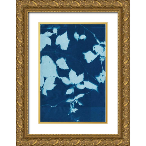 Cyanotype No.12 Gold Ornate Wood Framed Art Print with Double Matting by Zarris, Chariklia