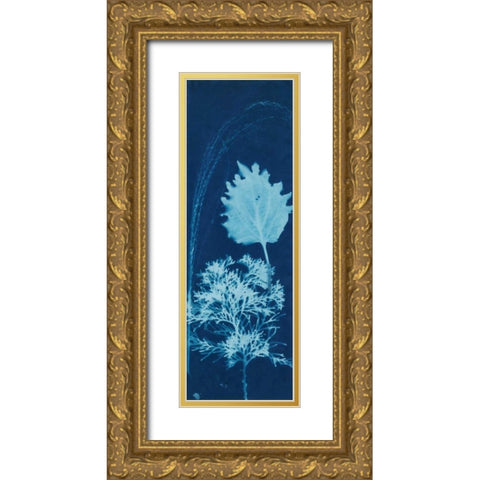 Cyanotype No.13 Gold Ornate Wood Framed Art Print with Double Matting by Guthrie, Jenna
