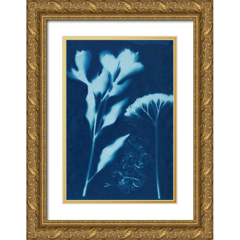 Cyanotype No.15 Gold Ornate Wood Framed Art Print with Double Matting by Guthrie, Jenna