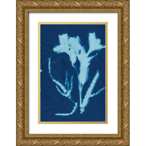 Cyanotype No.17 Gold Ornate Wood Framed Art Print with Double Matting by Guthrie, Jenna