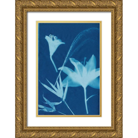 Cyanotype No.19 Gold Ornate Wood Framed Art Print with Double Matting by Guthrie, Jenna