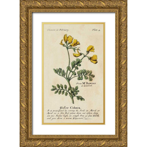 Gardeners Guide I Gold Ornate Wood Framed Art Print with Double Matting by Unknown