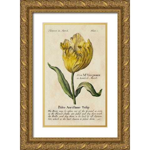 Gardeners Guide II Gold Ornate Wood Framed Art Print with Double Matting by Unknown
