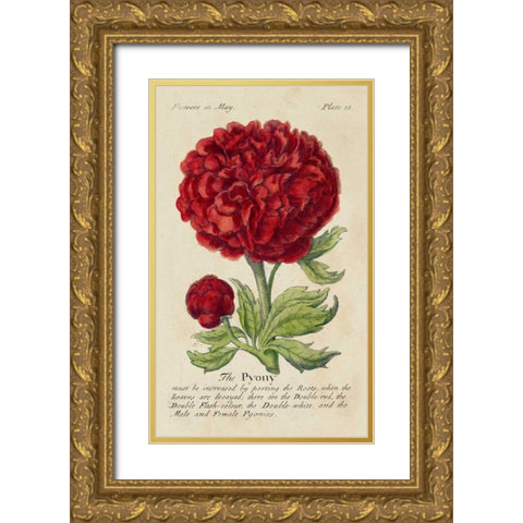 Gardeners Guide III Gold Ornate Wood Framed Art Print with Double Matting by Unknown