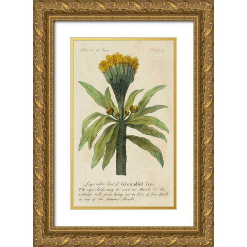 Gardeners Guide IV Gold Ornate Wood Framed Art Print with Double Matting by Unknown
