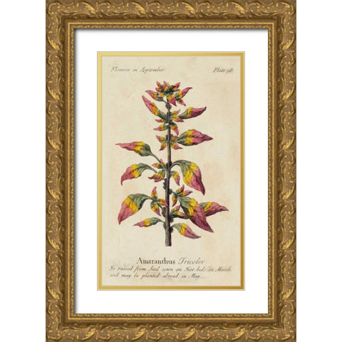Gardeners Guide VI Gold Ornate Wood Framed Art Print with Double Matting by Unknown