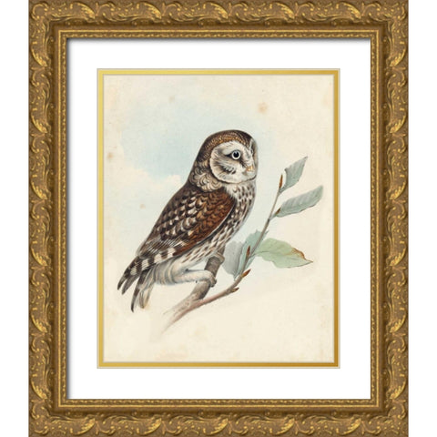 Meyer Little Owl Gold Ornate Wood Framed Art Print with Double Matting by Meyer, H.L.