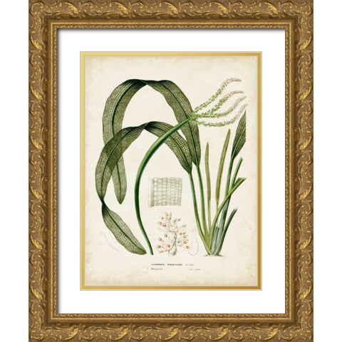 Tropical Grass I Gold Ornate Wood Framed Art Print with Double Matting by Vision Studio