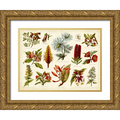 Tropical Botany Chart I Gold Ornate Wood Framed Art Print with Double Matting by Meyers