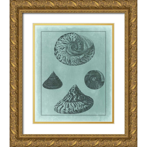 Spa Shell Collection II Gold Ornate Wood Framed Art Print with Double Matting by Vision Studio