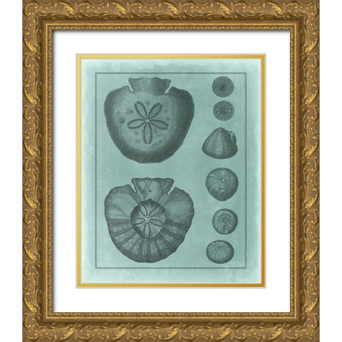 Spa Shell Collection VI Gold Ornate Wood Framed Art Print with Double Matting by Vision Studio