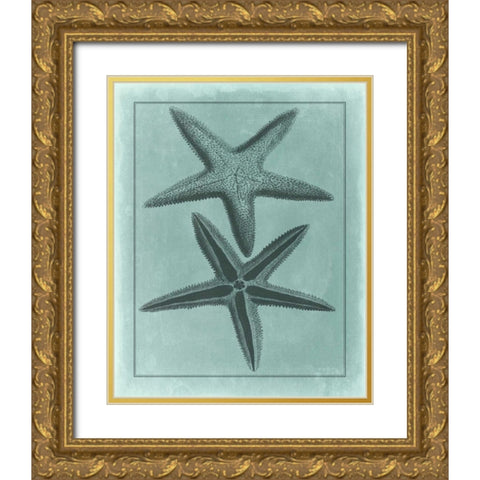 Spa Shell Collection VIII Gold Ornate Wood Framed Art Print with Double Matting by Vision Studio
