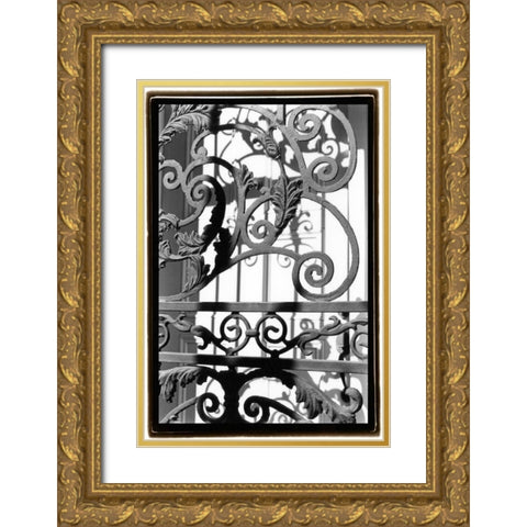 Wrought Iron Elegance II Gold Ornate Wood Framed Art Print with Double Matting by DeNardo, Laura