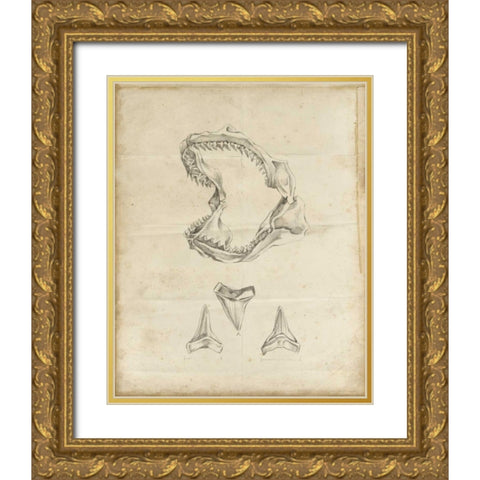 Shark Study II Gold Ornate Wood Framed Art Print with Double Matting by Harper, Ethan
